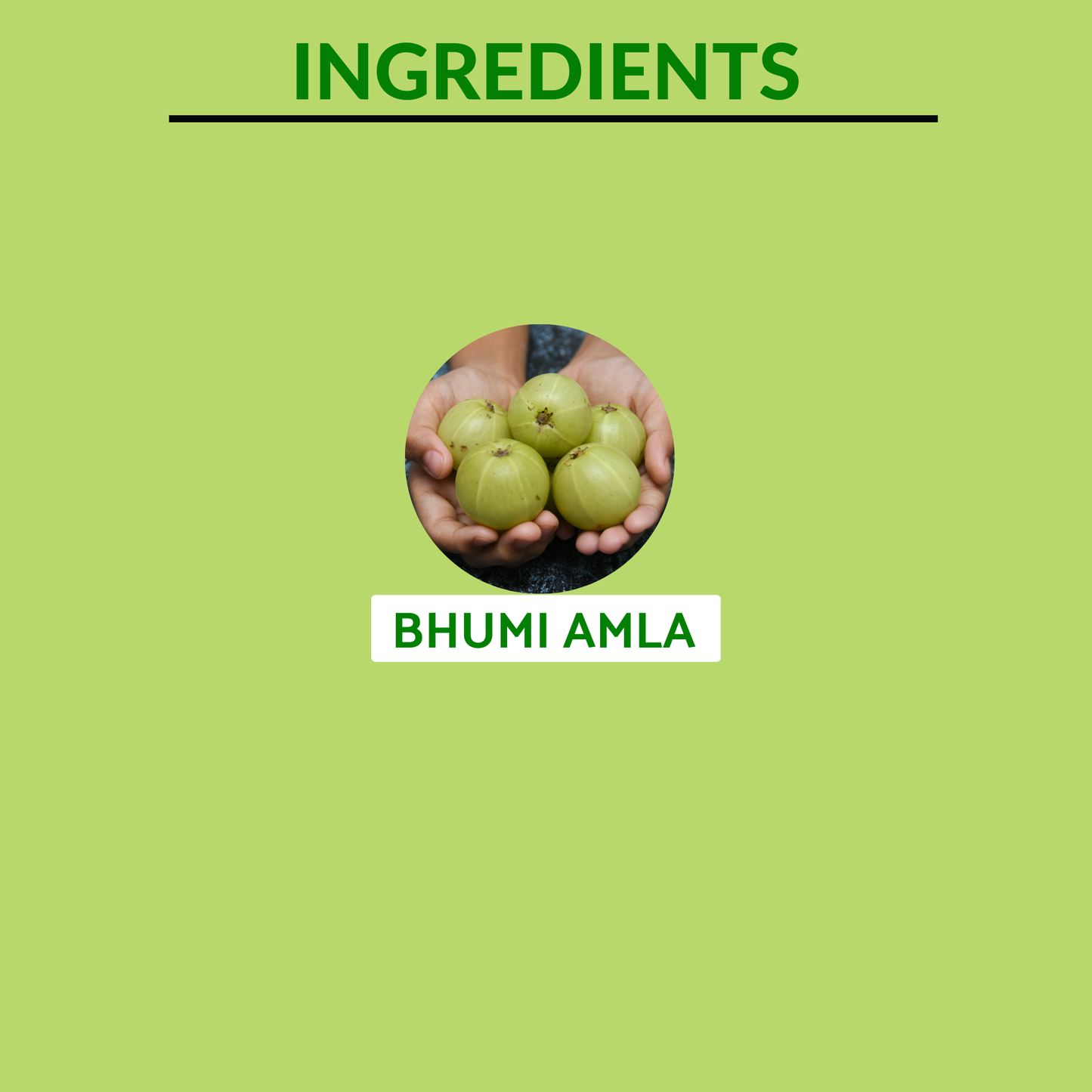 Ingredients of Bhumi Amla