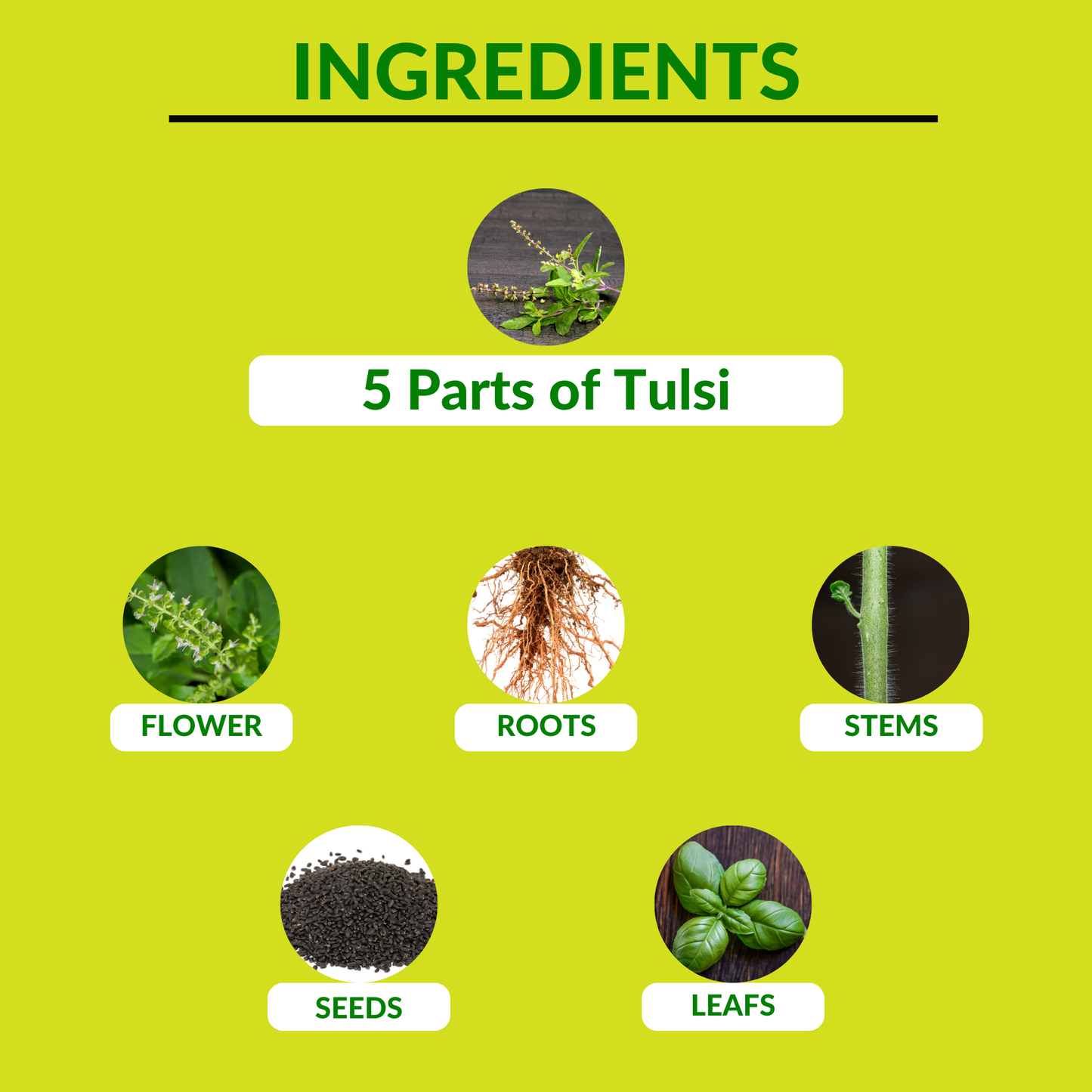 Ingredients  of  Tulsi Panchang Juice