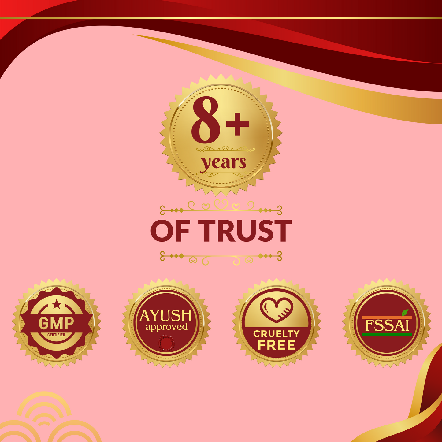 Your trusted choice for 8+ years