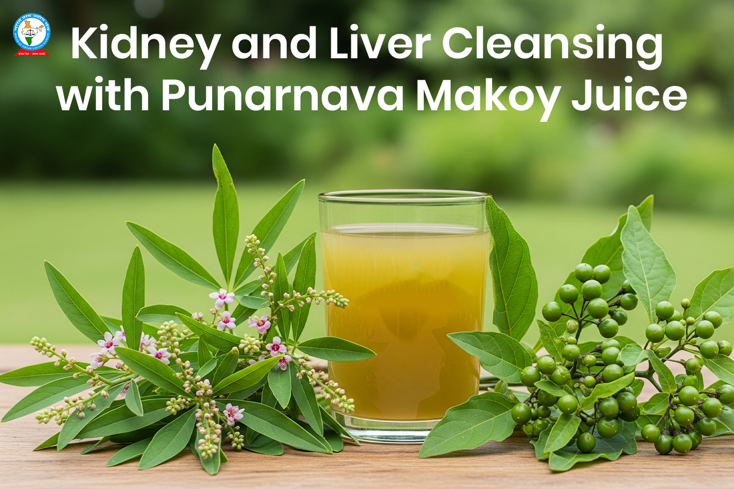 Kidney and Liver Cleansing