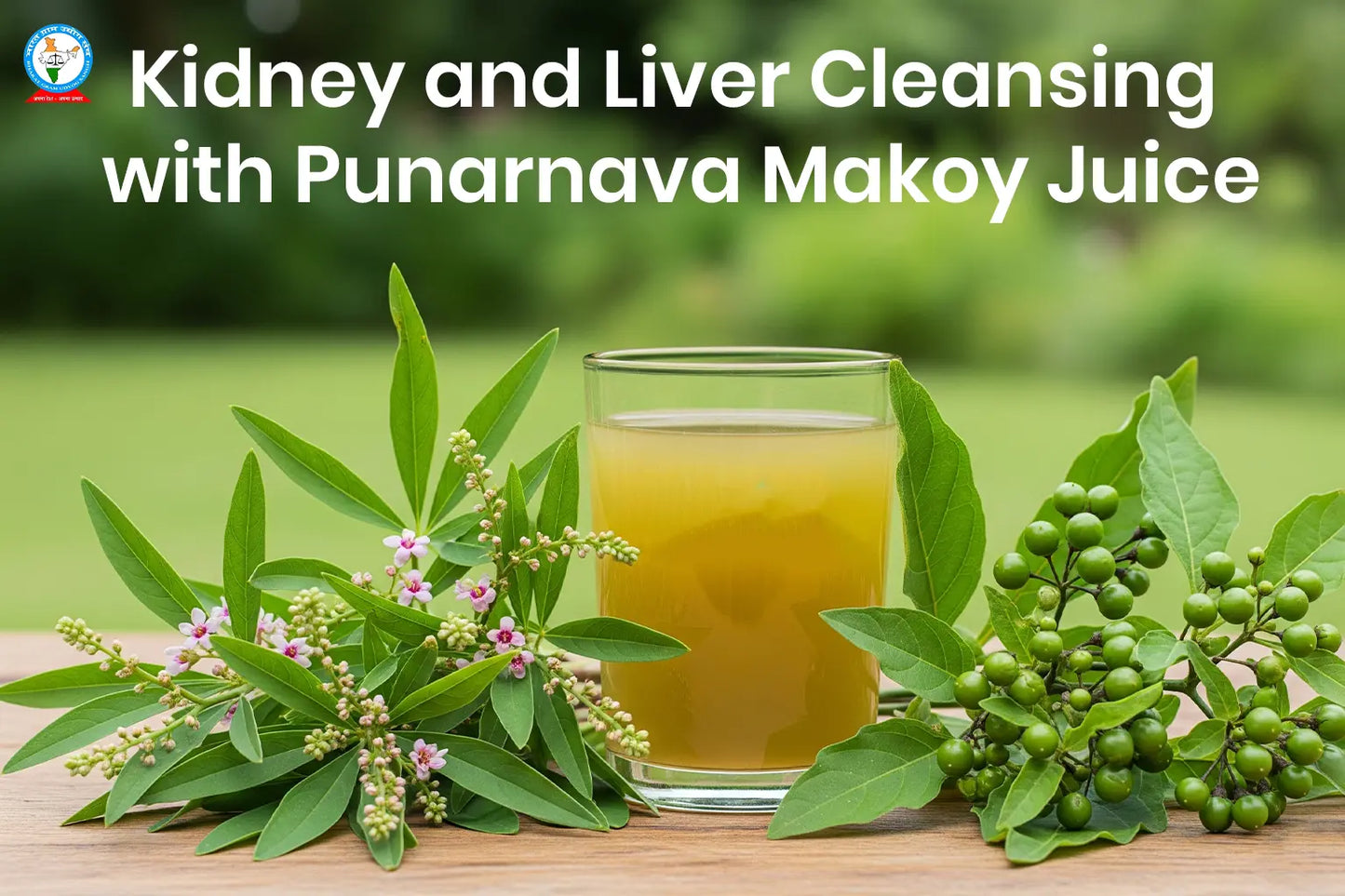 Kidney and Liver Cleansing
