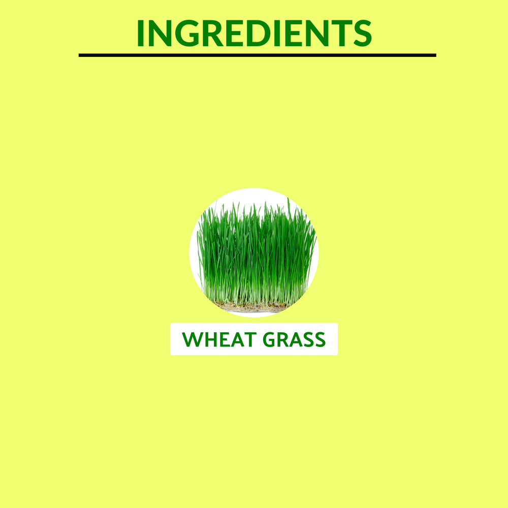 
                  
                    Wheat Grass Juice 1000ml
                  
                