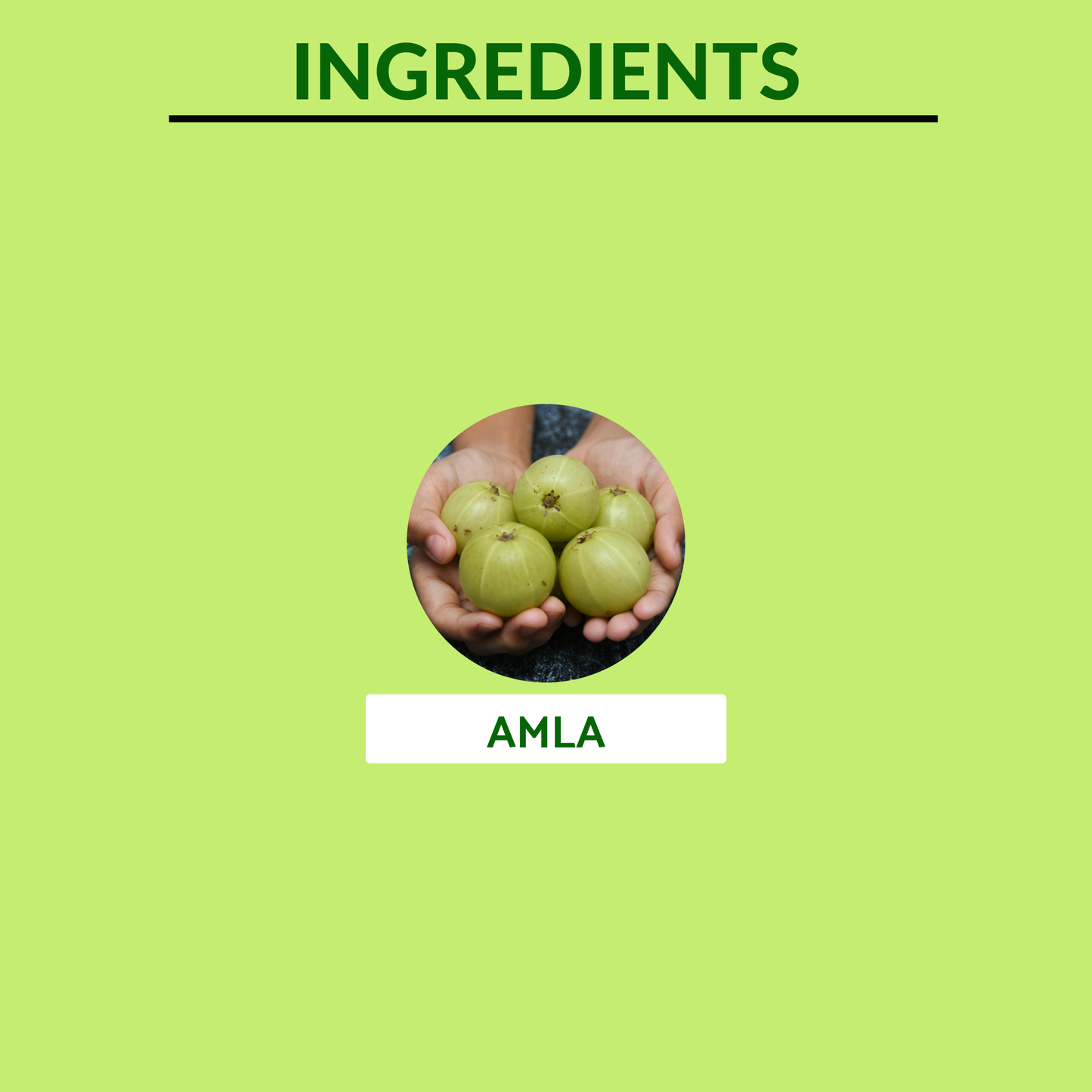 
                  
                    Amla Juice 1000ml
                  
                