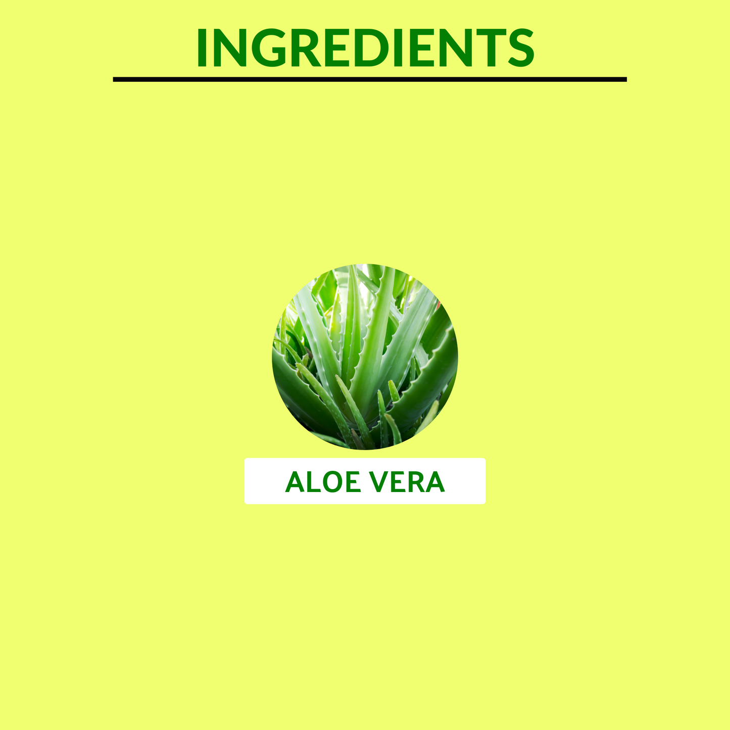 
                  
                    Aloevera Juice 1000ml
                  
                