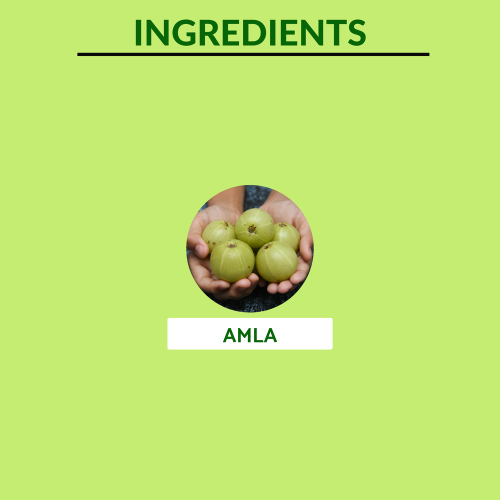 
                  
                    Ingredients of Amla
                  
                